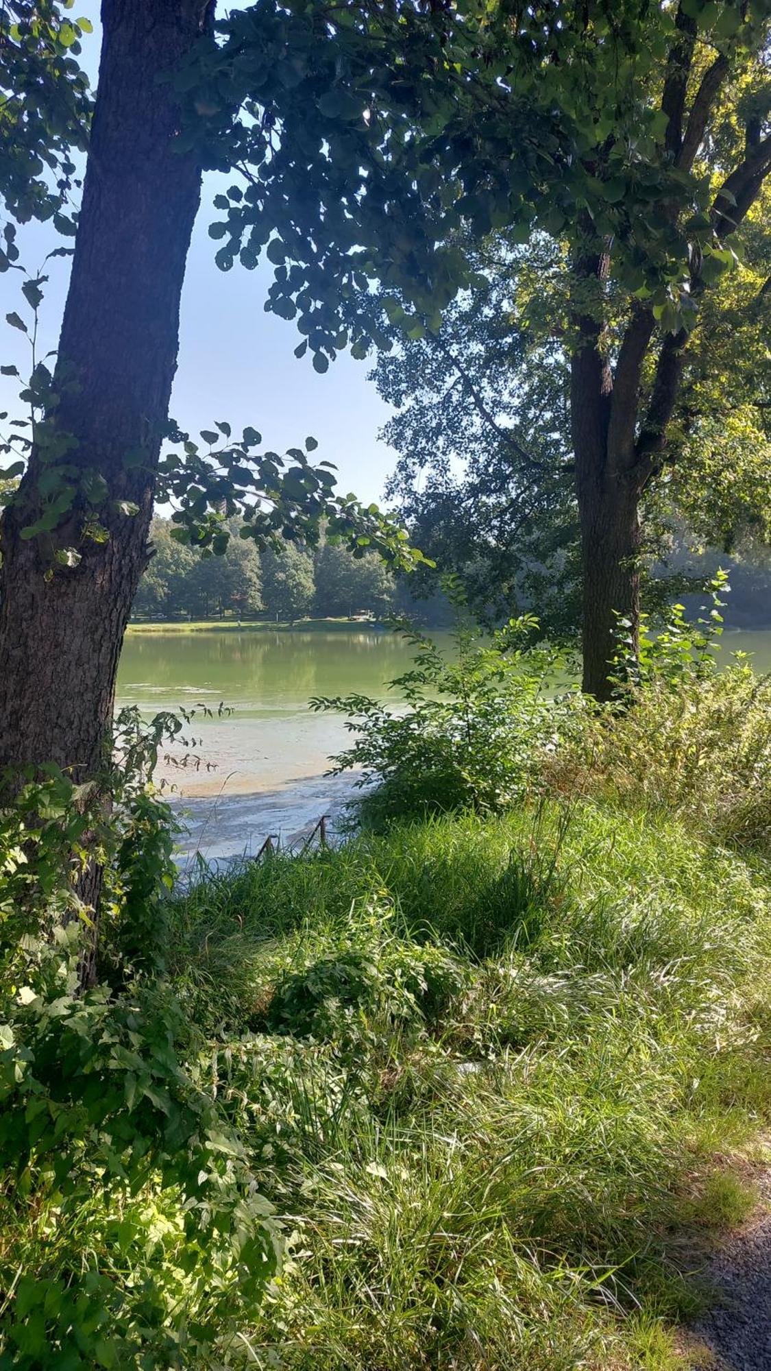 Domki Nad Jeziorem Karlowice Kültér fotó